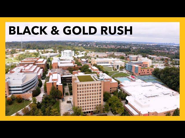 Black & Gold Rush 2025: Our Collective Impact