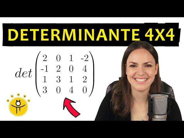 Determinante 4x4 Matrix berechnen – Laplace Entwicklungssatz