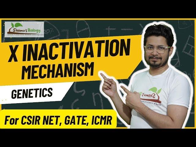 X inactivation mechanism | Xist in X inactivation