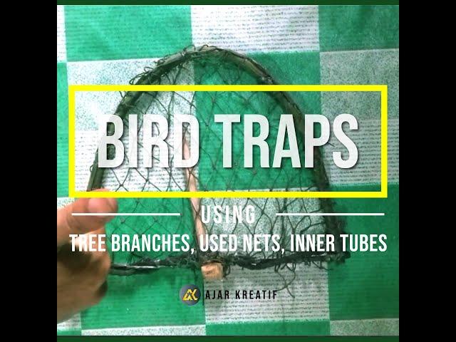 BIRD TRAPS USING TREE BRANCHES, USED NETS, INNER TUBES @AJARKREATIF