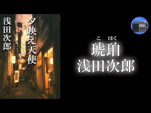 【朗読】「琥珀（こはく）」それぞれが抱える闇を感じながら、徐々に交流を深めていく。彼らを待ち受ける運命とは！？【ヒューマンドラマ・フィクション／浅田次郎】