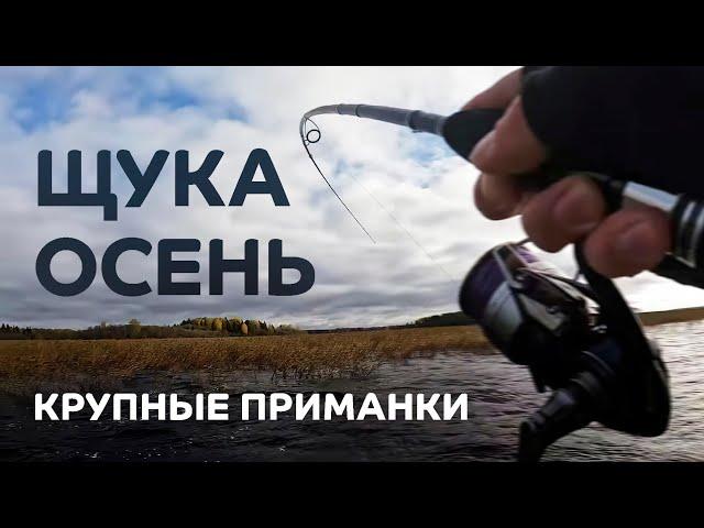 Осень. Щука. Крупные приманки. Рыбалка с лодки на спиннинг CF Perfect Jig 79-H-T