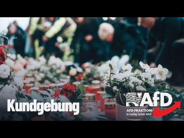 AfD-Kundgebung