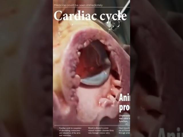 Cardiac Cycle #youtubeshorts #shortsfeed #viralvideo #sciencefacts
