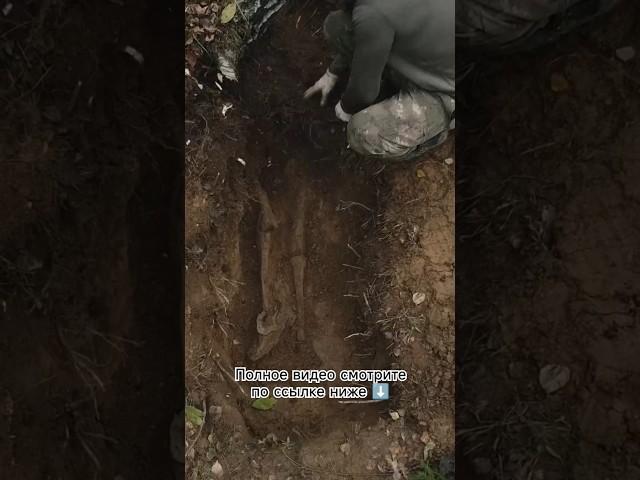 История, поиск, война #поиск #солдаты #война #history #раскопки