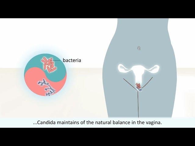 Female health animation