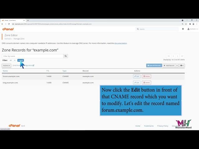 How to edit or delete CNAME Record in cPanel using the DNS Zone Editor with MonsterHost