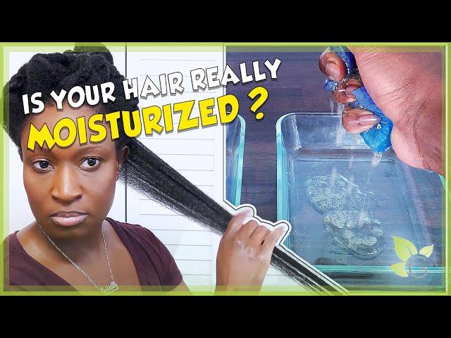 What it REALLY means to MOISTURIZE your hair