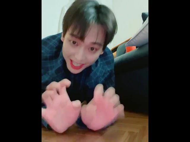 Inseong Cat