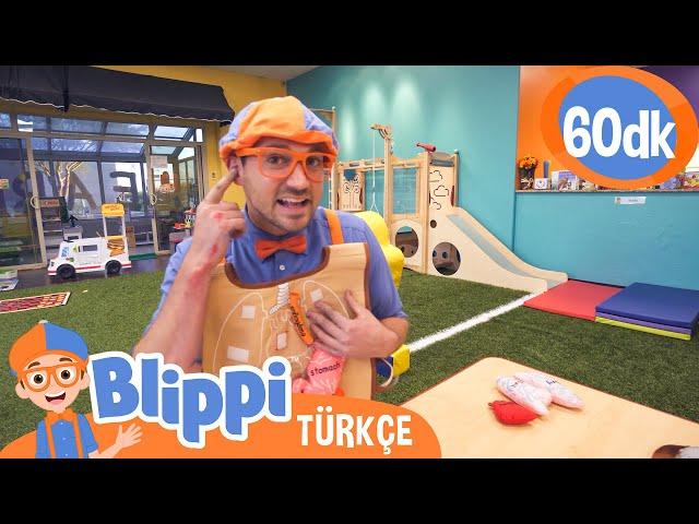 Blippi Kapalı Oyun Parkını Ziyaret Ediyor | Blippi Türkçe - Çocuklar için Eğitici Videolar