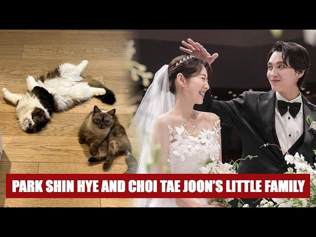 The little family of Park Shin Hye and Choi Tae Joon got happier than ever with 7 members!