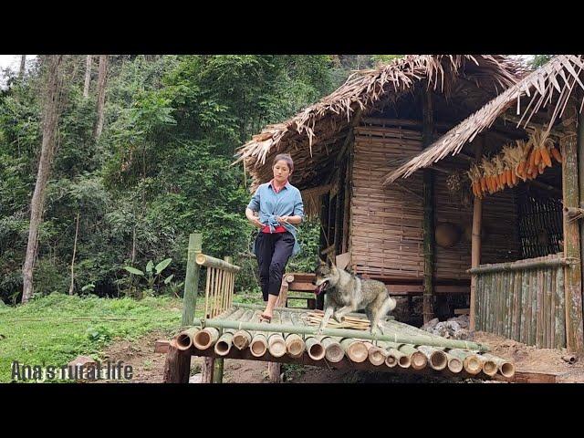 The girl herself built a beautiful bamboo house in the forest - From start to finish|Ana's rural...