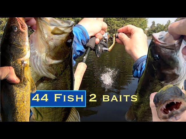 LGmouth, Smallies & Walleye | Bobcaygeon, ON (Pigeon L. And Nogies Creek)