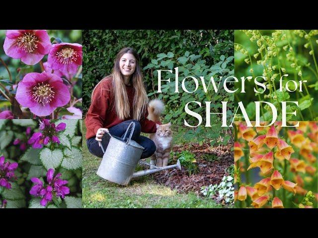 Transforming A Messy Corner Into A Lush Flowerbed (Underplanting hydrangeas) ‍🟫