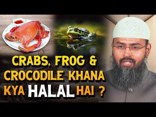 Crabs, Frog & Crocodile Khana Kya Halal Hai ? By Adv. Faiz Syed