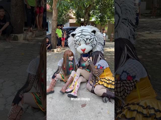 Detik detik trio cewe cantik dim@k@n can macanan️