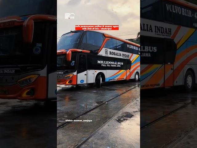 Harga Tiket Sleeper Bus Rosalia Indah Terbaru