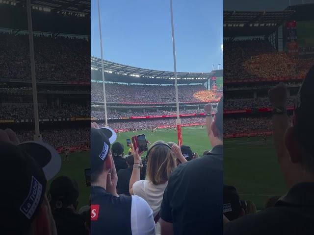 Collingwood vs Brisbane GF final siren reaction from crowd #shorts #afl #mcg