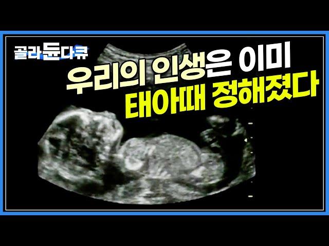 유전자, 환경 뿐만 아니라 엄마 뱃속에서의 삶의 질이 나머지 삶을 끌고 간다는 '태아 프로그래밍' 이론ㅣ출산율을 걱정하는 시대, 오히려 출산의 질에 주목한다ㅣ다큐프라임ㅣ#골라듄다큐