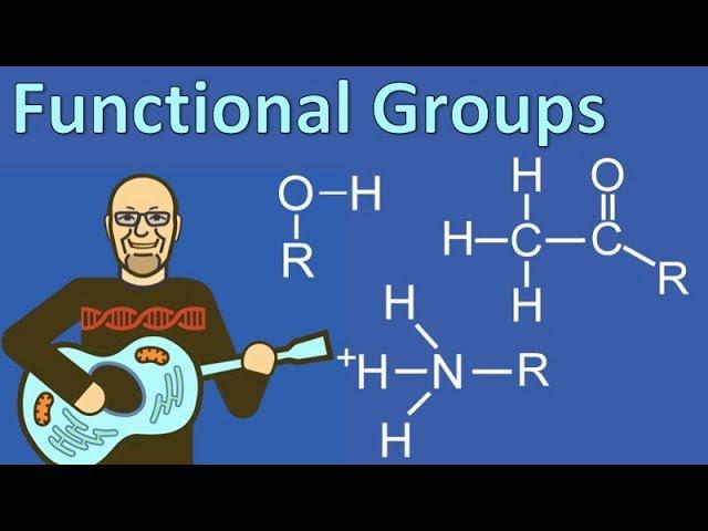 Functional Groups