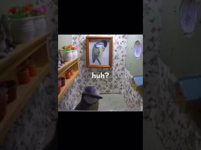 huh? #memes #meme