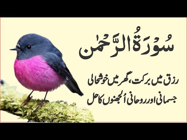 Surah Rahman Quran Recitation Beautiful Voice | سورۃ رحمن | Quran Studio Ep2674