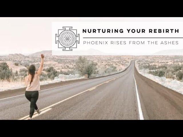 Nurturing Your Rebirth || Phoenix Rises From The Ashes