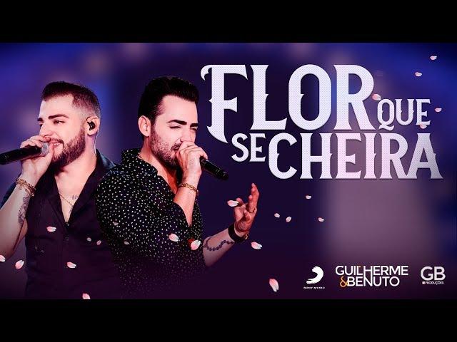 Guilherme e Benuto - Flor Que Se Cheira (DVD AMANDO, BEBENDO E SOFRENDO)