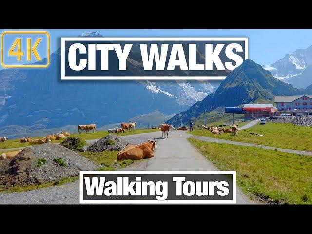 4K City Walks: Virtual Walking Tours for Fun and Fitness