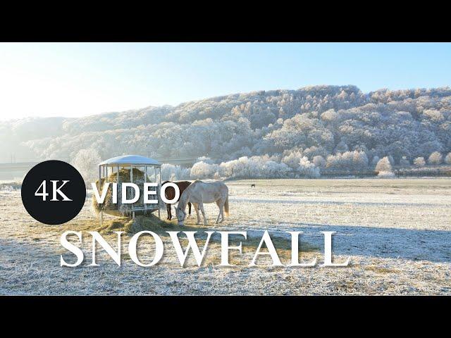 Soothing Acoustic Guitar | Snowfall beautiful 4K Video