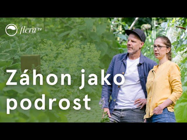 Podrostový hajničkový záhon | Inspirativní zahrada | Flera TV