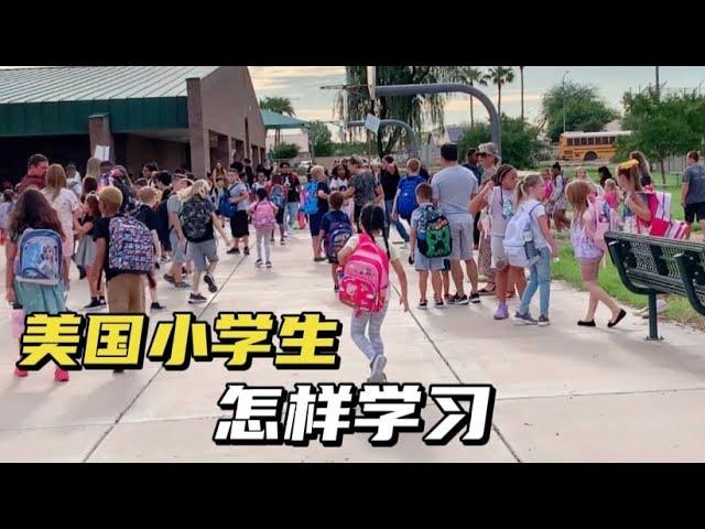 美国小学生居然没有教材，来看看美国学校怎么评分，太不一样了