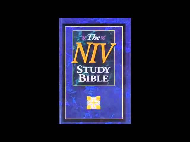 The Book of Genesis (NIV Audio Bible Non Dramatized)