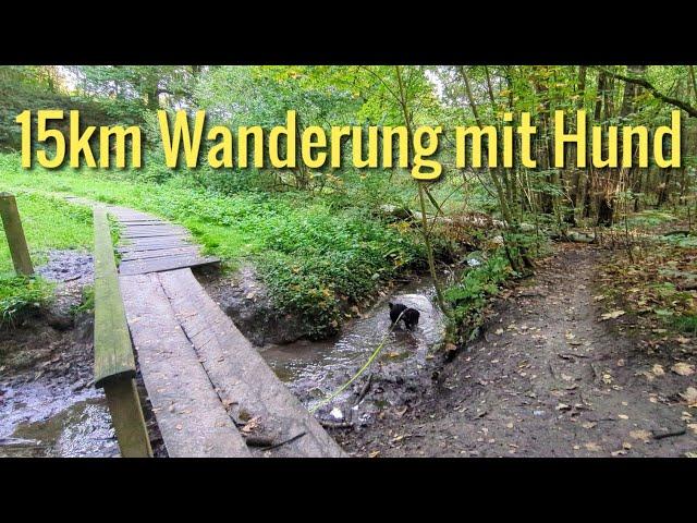 Wanderung mit Hund | Castrop Rauxel Zeche Erin, Langeloh, Dellwiger Bachtal | Marion & Neto