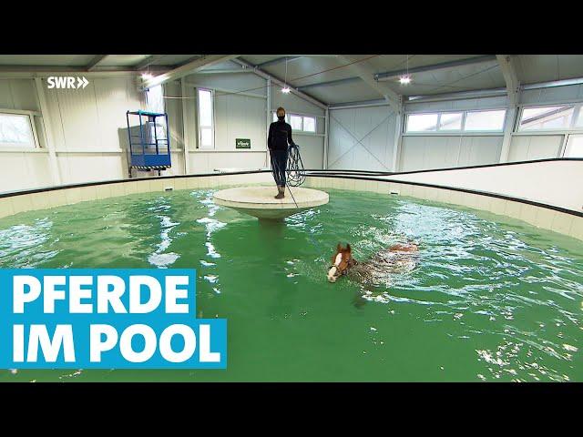 Ein Swimming-Pool nur für Pferde in Bingen