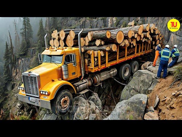 Extreme Chainsaw Tree Cutting Machines & Monster Stump Removal Excavators in Action #5