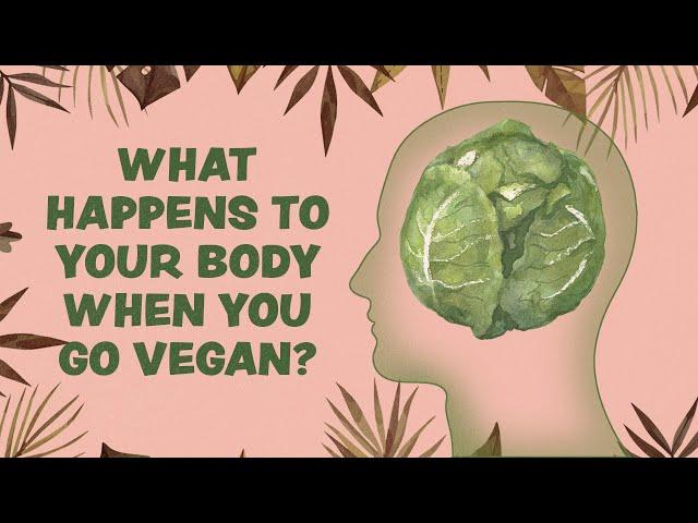 What Happens To Your Body When You Go Vegan?