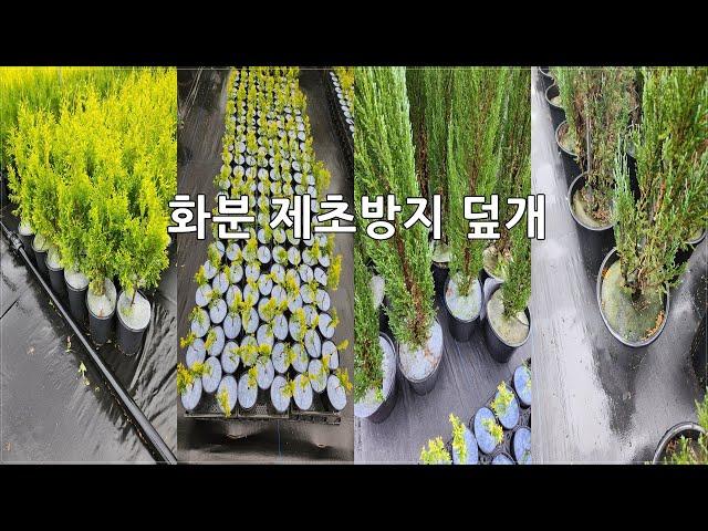 상담문의 : 010-3602-4106, [화분 제초방지 덮개] #화분묘 #제초방지 #덮개