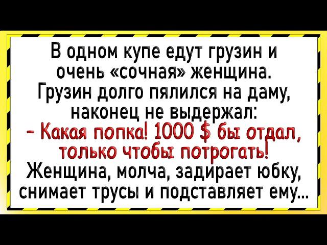 Как грузин даме в поезде заехал! Сборник свежих анекдотов! Юмор!