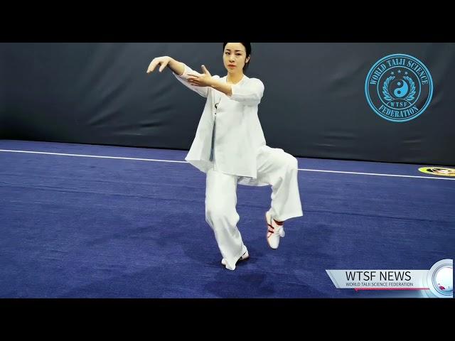 Master Hung Xueqing TaijiQuan Demonstration at 2nd International Taijiscience Forum