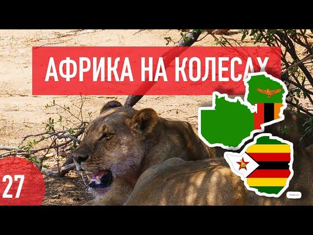 Zimbabwe and Zambia. Billionaires, lions, Victoria Falls & $0.8 mango buckets. Africa on wheels #27