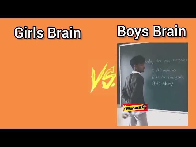 ​@chimptainer Boys Using Brain Vs Girls Using Brain||#memes #girlsvsboys #dance