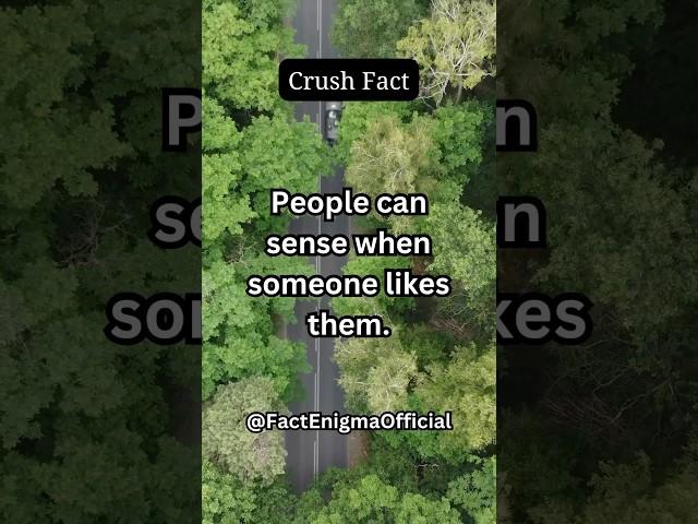 Crush Secrets  #crushfacts #crushfactspsychology #crushfactstiktok #crushfactsforgirls