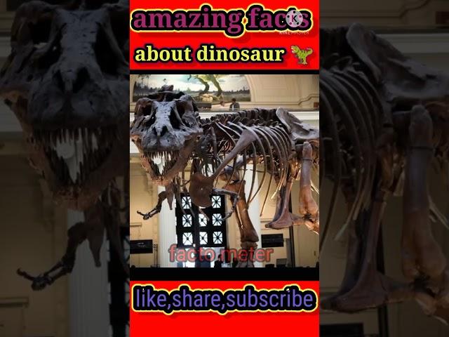 amazing facts about dinasours  #shorts #factometer #facts #dinasours