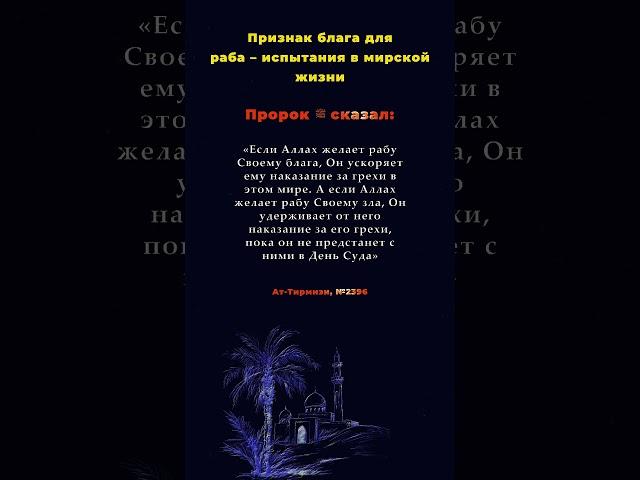 Наказание в мире — легче, чем в вечности. #хадис #сунна #религия