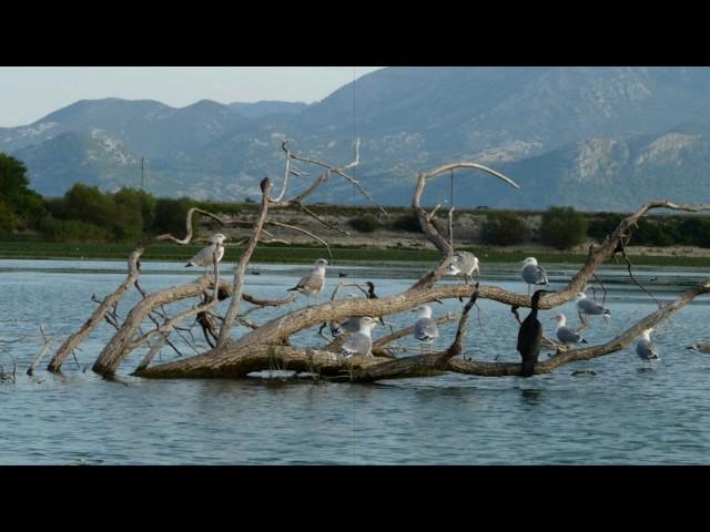 Красота природы. Черногория. Beauty of nature. Montenegro