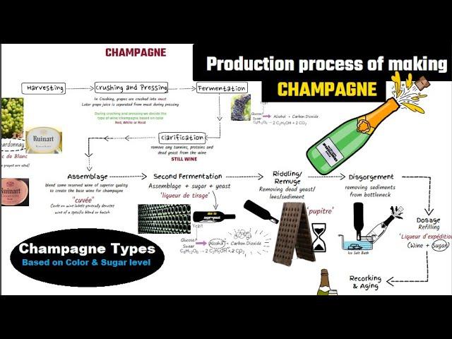 Champagne making process // champagne vs sparkling wine // How to make sparkling wine //