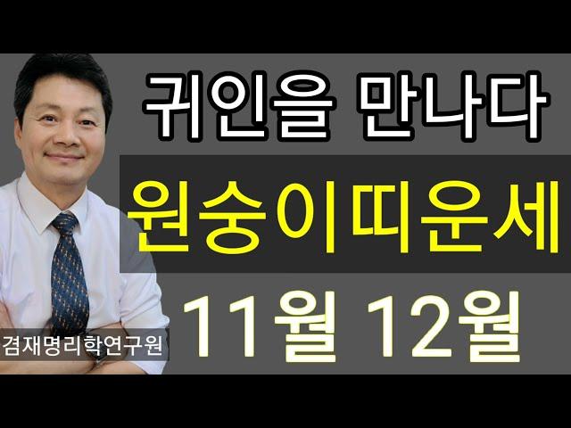 원숭이띠 운세 2024년 11월 12월 운세 / 원숭이띠운세  총정리 / 92년생 80년생 68년생 56년생 44년생  전화상담 및 방문상담 051-805-4999