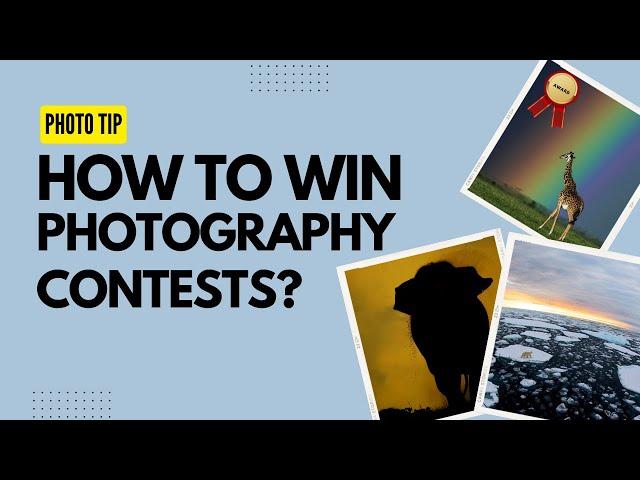 How to win photography contests?  | What are some contests you should participate in?