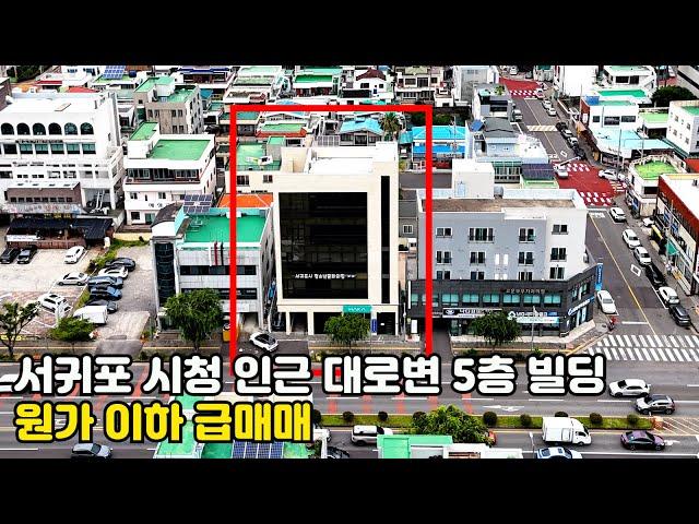 제주도 빌딩매매, 서귀포 서홍동 서귀포시청인 대로변 5층빌딩 원가 이하로 급매매, 제주도부동산, 제주도건물, 제주도급매